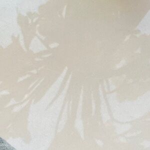 Meet your Posher, Bert